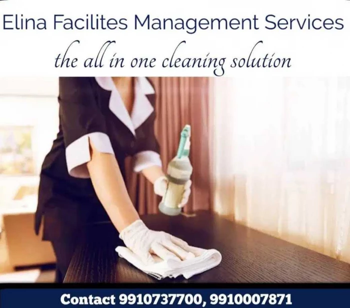 Paint , Polish , Wood work, cleaning Service