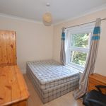 2 MONTHS FREE | 2BHK RENT 53K | OPEN VIEW | BOTH MASTER BEDROOMS | GYM POOL | FAMILY BUILDING