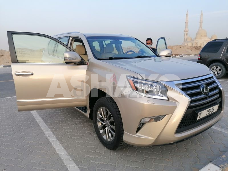 Elegant, Classy, Well Maintained  Pampered Lexus Gx 460 9 Image