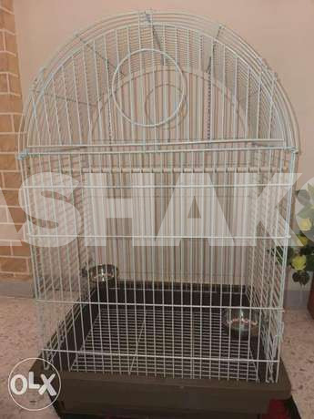 قفص ببغاء مرب شبه جديد