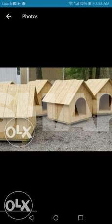 Animals furniture