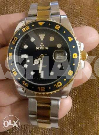 Fiteron watch