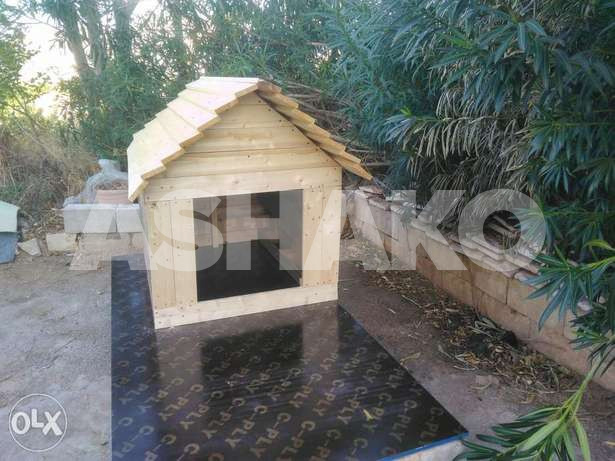 Dog shelter