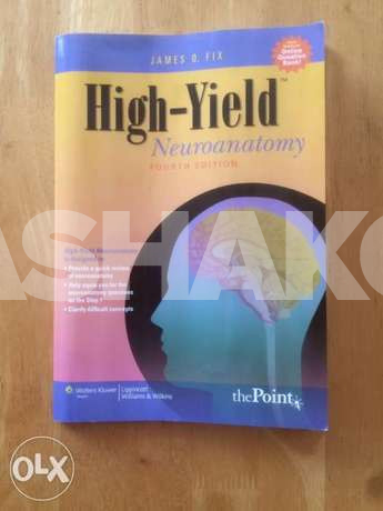 High-Yield Neuroanatomy - Paperback