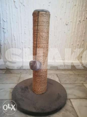 Cat scratcher