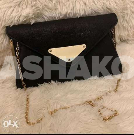 Aldo Bag- rate 1500