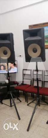 Professional speaker with stand.. used lik...