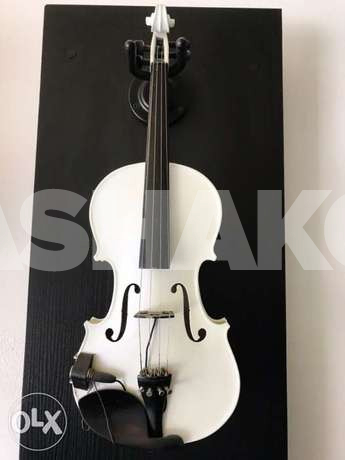 violin with barcus berry