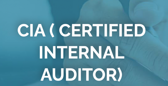 CERTIFIED INTERNAL AUDITOR (CIA)