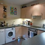 Chiller Free|1Bed|Balcony|Family Building