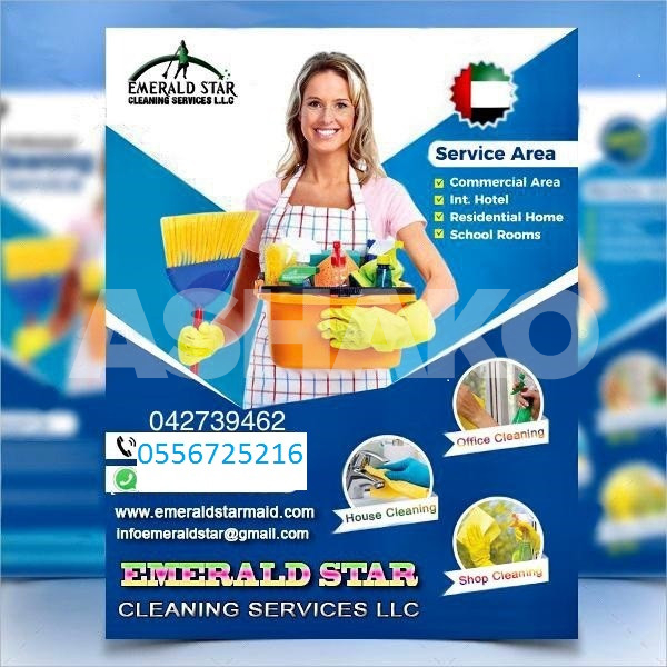 Cleaning Service 1 Image