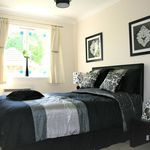 Luxury fixtures | Well Maintained | Chiller WiFi Free