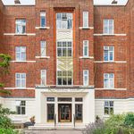 Luxury Fixtures | Well Maintained | Chiller Wifi Free 4 Image