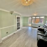 Luxury Fixtures | Well Maintained | Chiller Wifi Free 5 Image