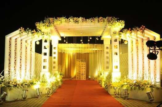 Professional Wedding Dector