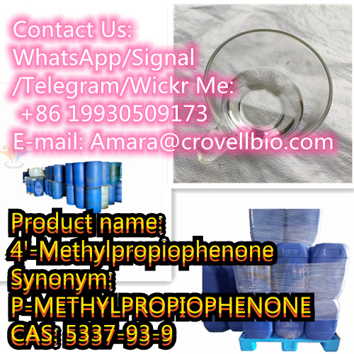 Reasonable price cas 5337-93-9 4'-Methylpropiophenone  
