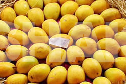 Relish Farm Fresh Mangoes At Your Doorstep 3 Image