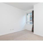 Upgraded Studio | Near Circle Mall | With Garden |
